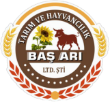 Adsız tasarım (30)